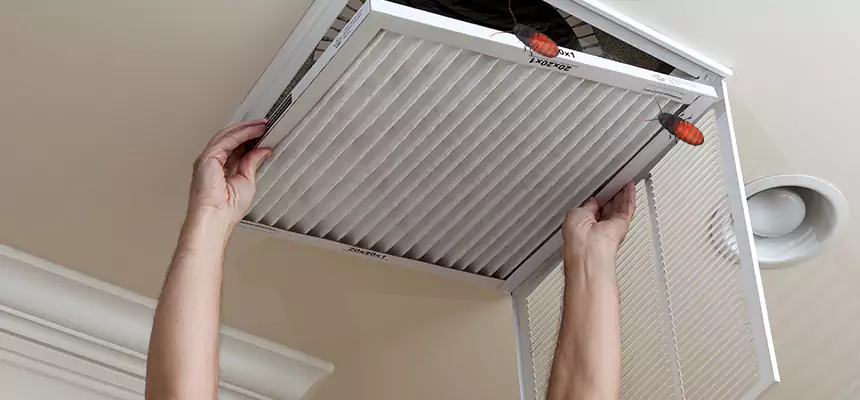 Preventive Cockroach-Proofing for Ducts in Granite Bay