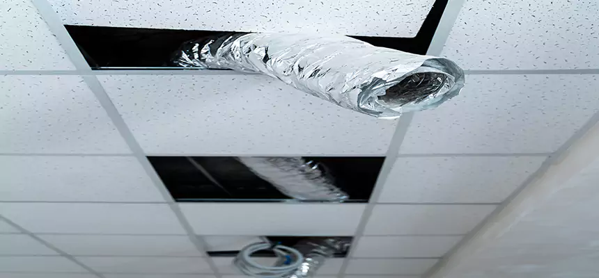 Affordable HVAC Sanitizing After Pest Removal in Granite Bay