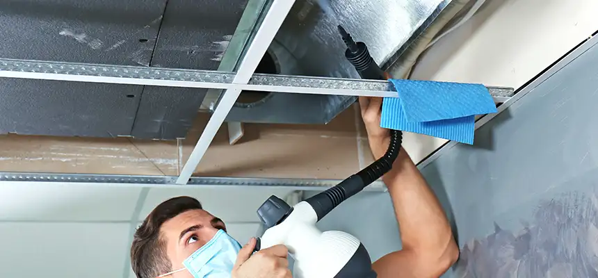 Our Air Duct Rodent Removal Services in Granite Bay, CA