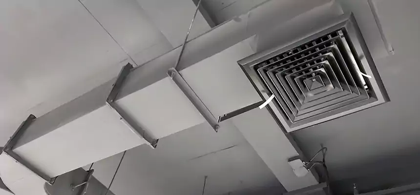 Restorative Allergy Relief Vent Cleaning – Coil, Blower & Housing Detail in Granite Bay