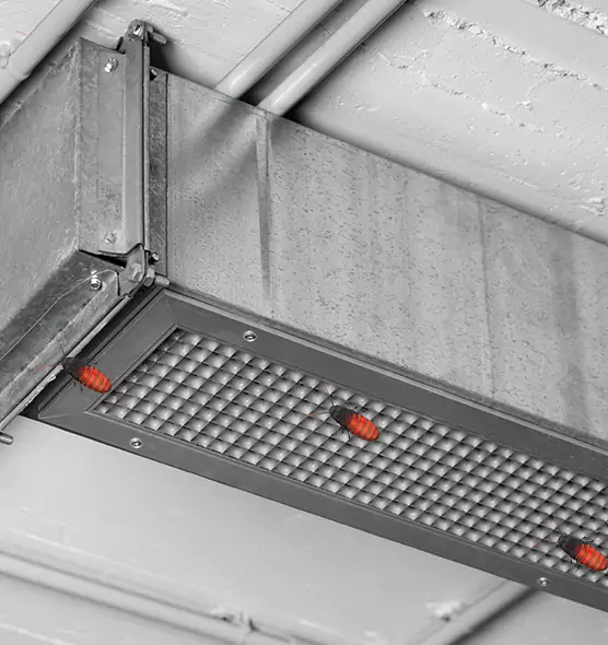 About Air Duct Cockroach Removal in Granite Bay, CA