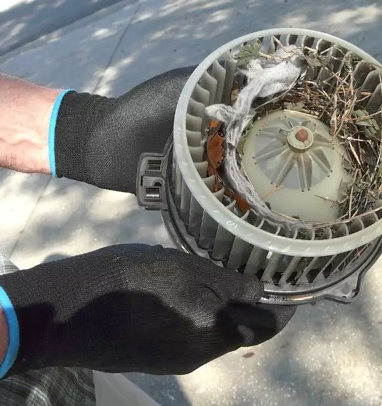 About Air Duct Mice Removal in Granite Bay, CA