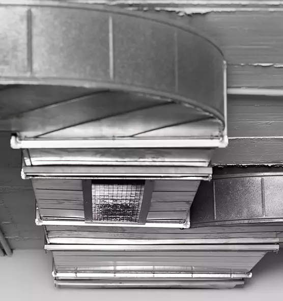 Professional Air Duct Pest Removal in Granite Bay, CA