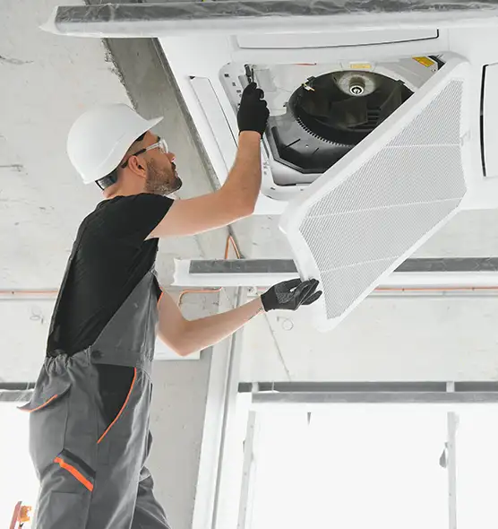 About Air Duct Rodent Removal in Granite Bay, CA