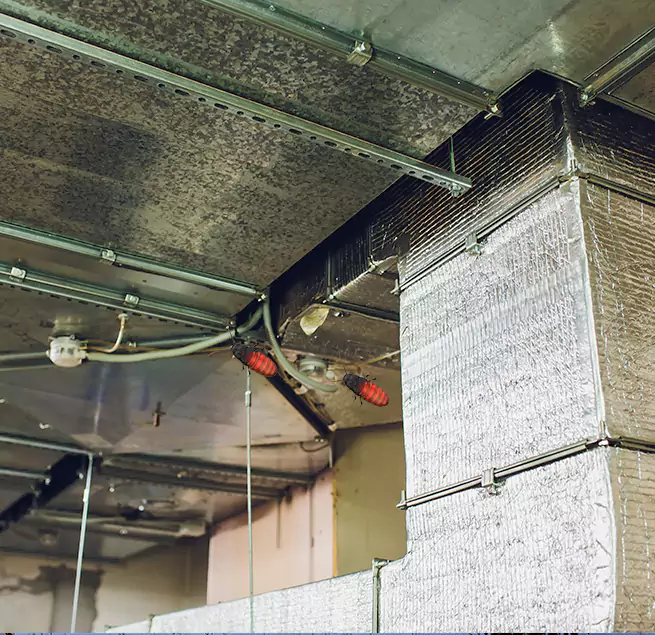 Why Homeowners & Businesses Trust Us in Granite Bay, CA?