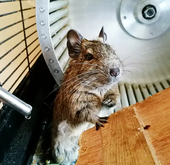 Why Homeowners & Businesses Trust Us Granite Bay, CA?