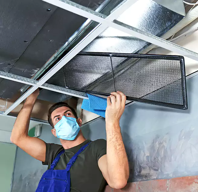 Why Homeowners Businesses Trust Us in Granite Bay, CA