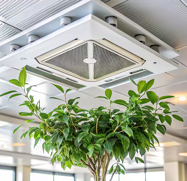 Why Homeowners & Businesses Trust Us in Granite Bay, CA?